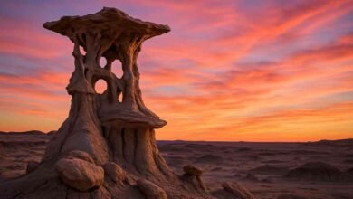 Alien Throne New Mexico