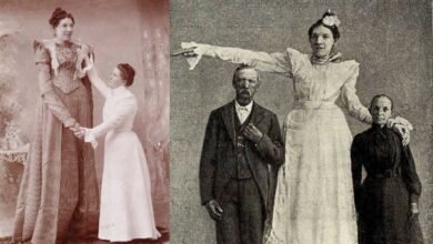 Ella Ewing Height: The Towering Life of Missouri's Gentle Giant