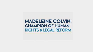 madeleine colvin