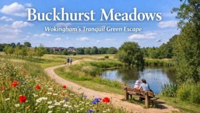 buckhurst meadows