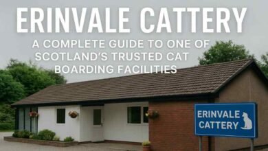 erinvale cattery