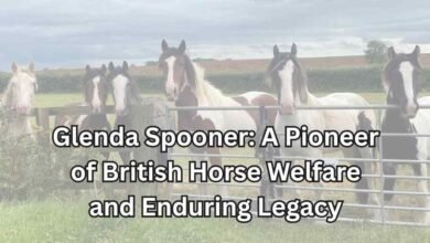 glenda spooner