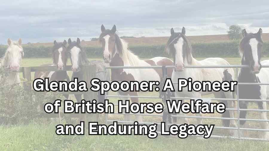 glenda spooner