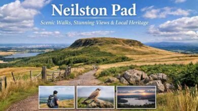 neilston pad